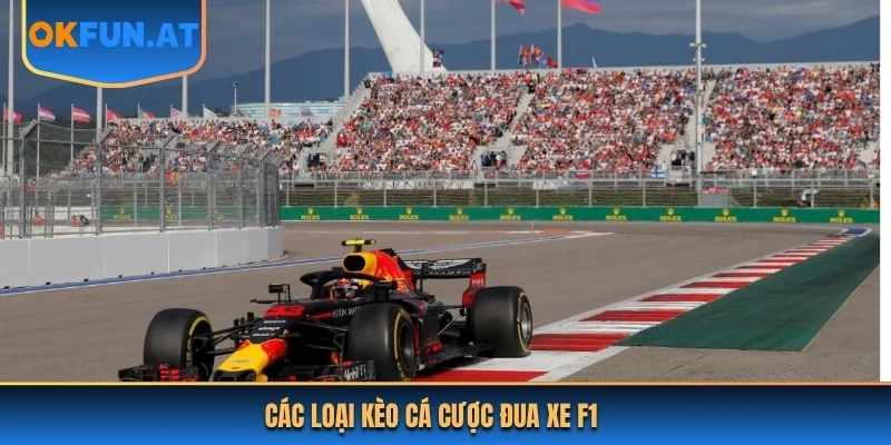 Các loại kèo cá cược đua xe F1