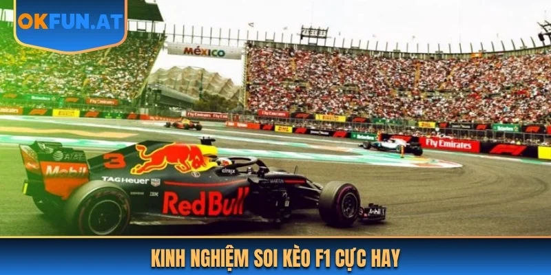 Kinh nghiệm soi kèo F1 cực hay